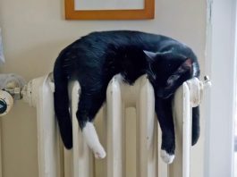 Как длительные морозы изменят цифры в платежках за отопление