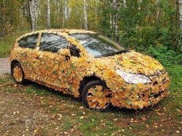 Яку небезпеку для водіїв таїть в собі опале осіннє листя?