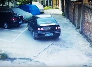 У Мережі показали найбільшого невдаху водія