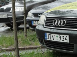 Коли можна буде розмитнювати “євробляху”: названі терміни