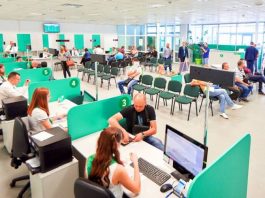 Українці можуть вибрати номерний знак для авто онлайн: як це зробити