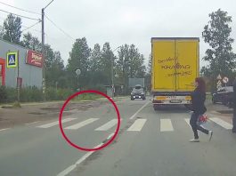 Правила дорожнього руху для пішохода: чи справді він завжди правий