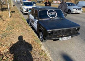 В Україні водія оштрафували за незвичайне порушення