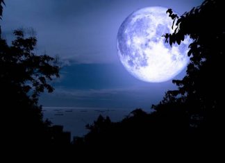 Місячне затемнення 19 листопада 2022 року: До чого потрібно приготуватися знакам зодіаку