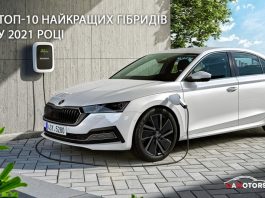 Назвали десятку найкращих гібридів у 2021 році