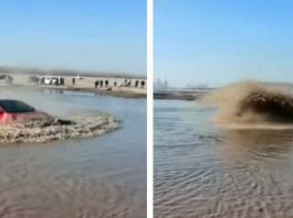 Відео: Tesla Model 3 в ролі амфібії (авто з ДВЗ так не вміють)