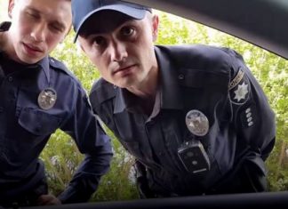 Поліції хочуть повернути право зупинення автомобілів для профілактики