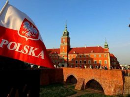 У Польщі штрафи за порушення ПДР підняли до понад семи тисяч доларів