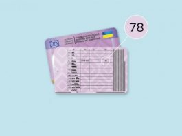 В Україні розпочалася видача нових документів для водіїв