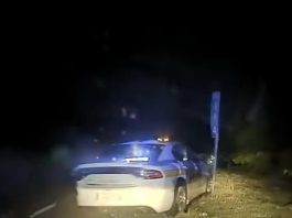 Tesla на автопілоті протаранила автомобіль поліції: відео