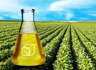 Український біодизель незабаром може заповнити прогалини у постачанні палива