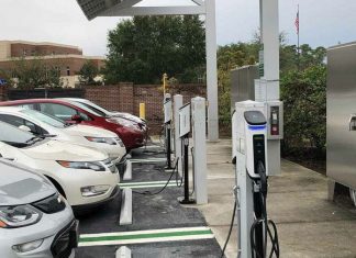 В Україні зростає піт на електромобілі та гібриди – статистика