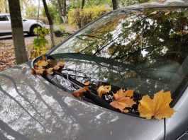 Автоексперт перерахував головні помилки водіїв восени