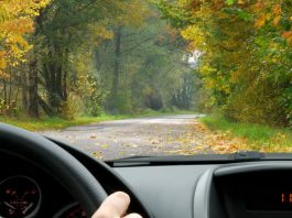 “Осінні” помилки водіїв, яких припускають навіть професіонали