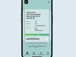 У Дії з’явилася довгоочікувана послуга для водіїв – як скористатися