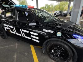 Tesla Model Y стала поліцейським перехоплювачем