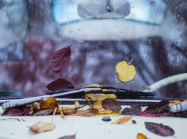 Фахівці дали порали, як безпечно їздити машиною восени