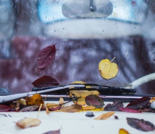 Фахівці дали порали, як безпечно їздити машиною восени