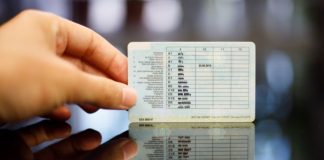 Усім водіям в Україні доведеться міняти права: у Раді готуються ухвалити новий закон
