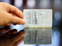 З наступного місяця видаватимуть нові водійські посвідчення та техпаспорти