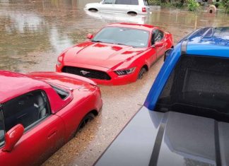 Ford знайшов нове застосування «утопленим» спорткарам Mustang
