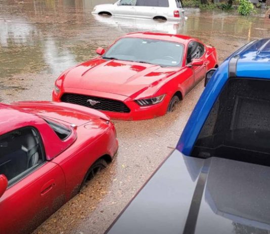 Ford знайшов нове застосування «утопленим» спорткарам Mustang Ford знайшов нове застосування «утопленим» спорткарам Mustang