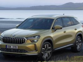 Skoda розкриває подробиці про недорогий сімейний кросовер для України