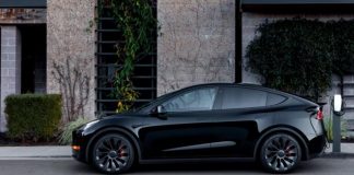 Tesla розширює лінійку: нова Model Y та бюджетний хетчбек скоро у продажу