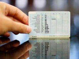 Як зміна водійських посвідчень вплине на водіїв в Україні Як зміна водійських посвідчень вплине на водіїв в Україні