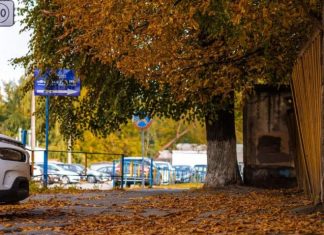 Названа головна проблема водіїв восени, про яку всі забувають