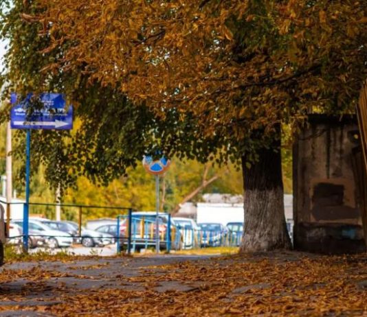 Названа головна проблема водіїв восени, про яку всі забувають