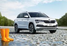 Skoda представила версію Karoq 2025 з оновленим дизайном