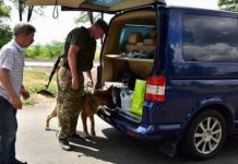 Поліція роз'яснила, коли може бути проведено обшук автомобіля