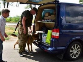 Поліція роз'яснила, коли може бути проведено обшук автомобіля