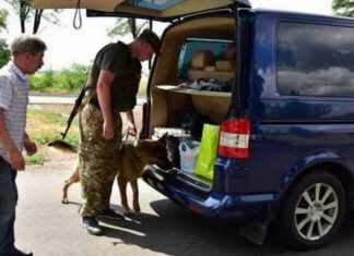 Поліція роз'яснила, коли може бути проведено обшук автомобіля