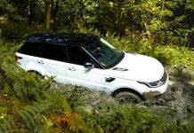 У британських лісах виявили 22 вкрадені Land Rover і Range Rover