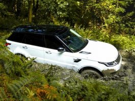 У британських лісах виявили 22 вкрадені Land Rover і Range Rover У британських лісах виявили 22 вкрадені Land Rover і Range Rover