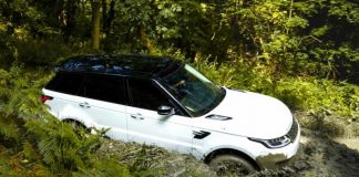 У британських лісах виявили 22 вкрадені Land Rover і Range Rover