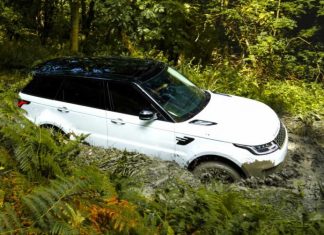 У британських лісах виявили 22 вкрадені Land Rover і Range Rover