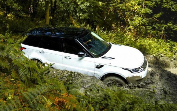 У британських лісах виявили 22 вкрадені Land Rover і Range Rover