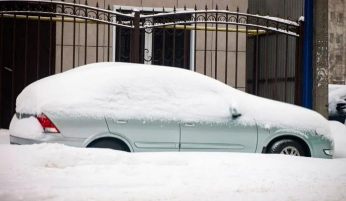 Як захистити авто від шкідників взимку: 5 найкращих методів