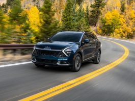 Названо шість мінусів Kia Sportage п’ятого покоління Названо шість мінусів Kia Sportage п'ятого покоління