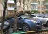 Юристи пояснили, хто компенсує збитки від падіння дерева на авто у дворі