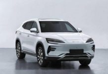 Кросовери домінують серед електромобілів в Україні