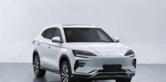 Кросовери домінують серед електромобілів в Україні