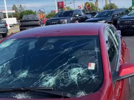 Експерт радить, як вберегти авто від граду