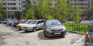 Як вибрати ідеальне місце для паркування авто влітку