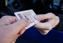 Нові водійські посвідчення з терміном 30 років: що потрібно знати
