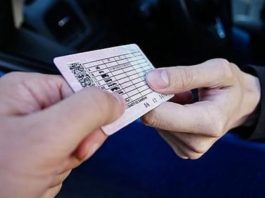 Нові водійські посвідчення з терміном 30 років: що потрібно знати
