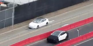 З'явилися фото можливого бюджетного варіанту Tesla Model Y
